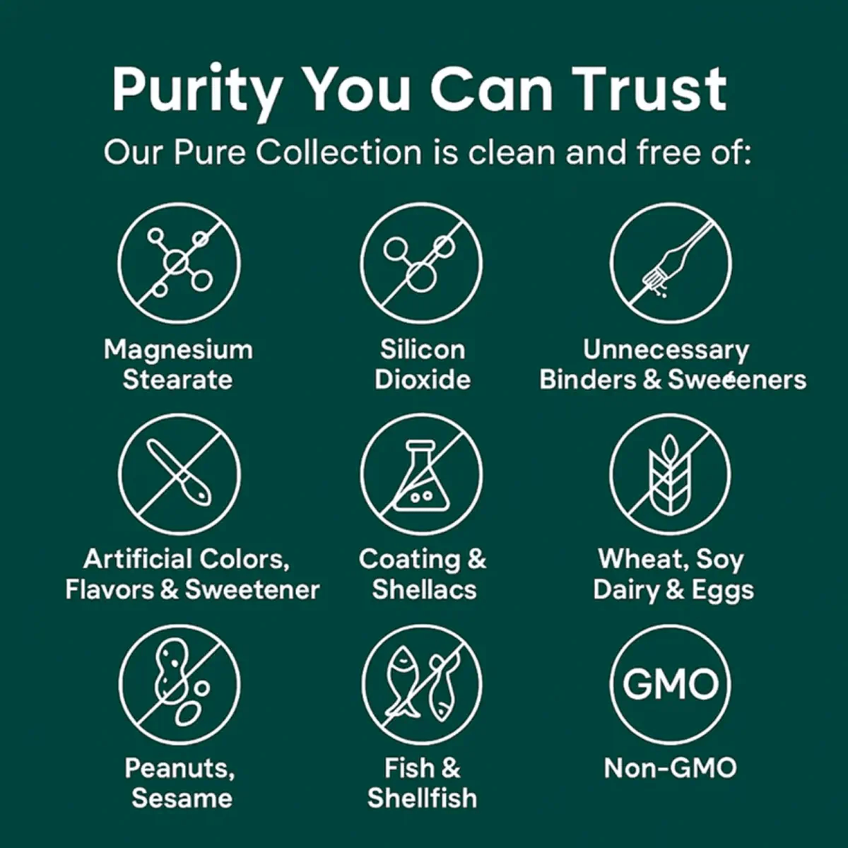 NR (Nicotinamide Riboside) Capsules — 500mg