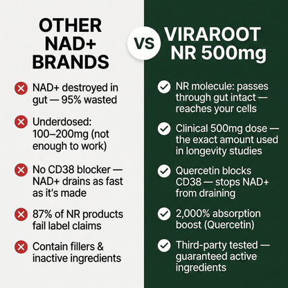 NR (Nicotinamide Riboside) Capsules — 500mg