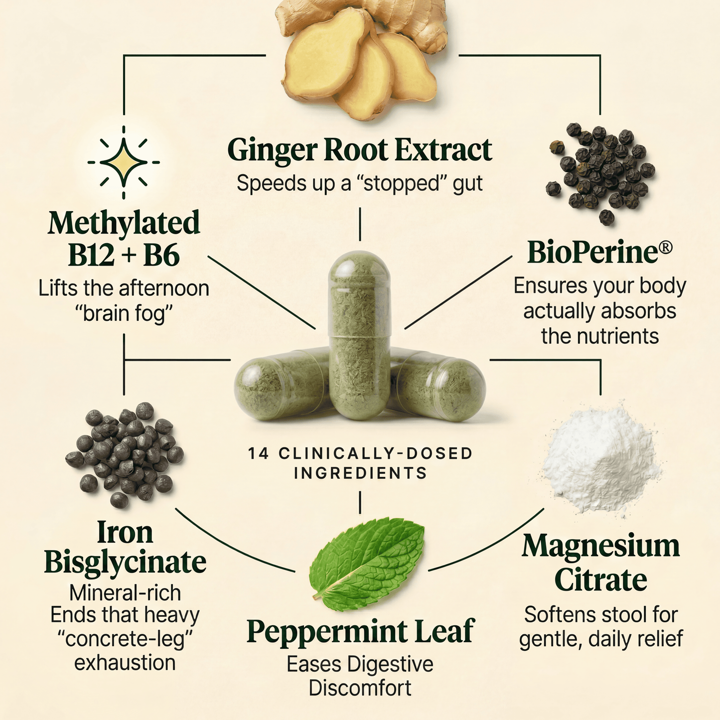 GLP-1 Clinical Support Formula