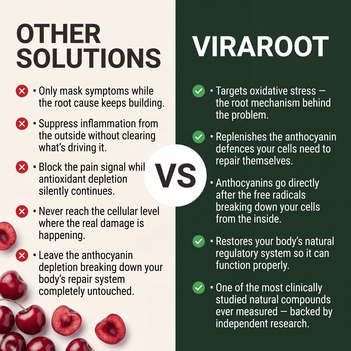 Tart Cherry Extract Capsules