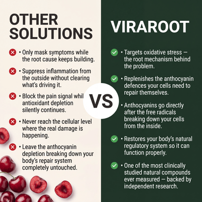 Tart Cherry Extract Capsules