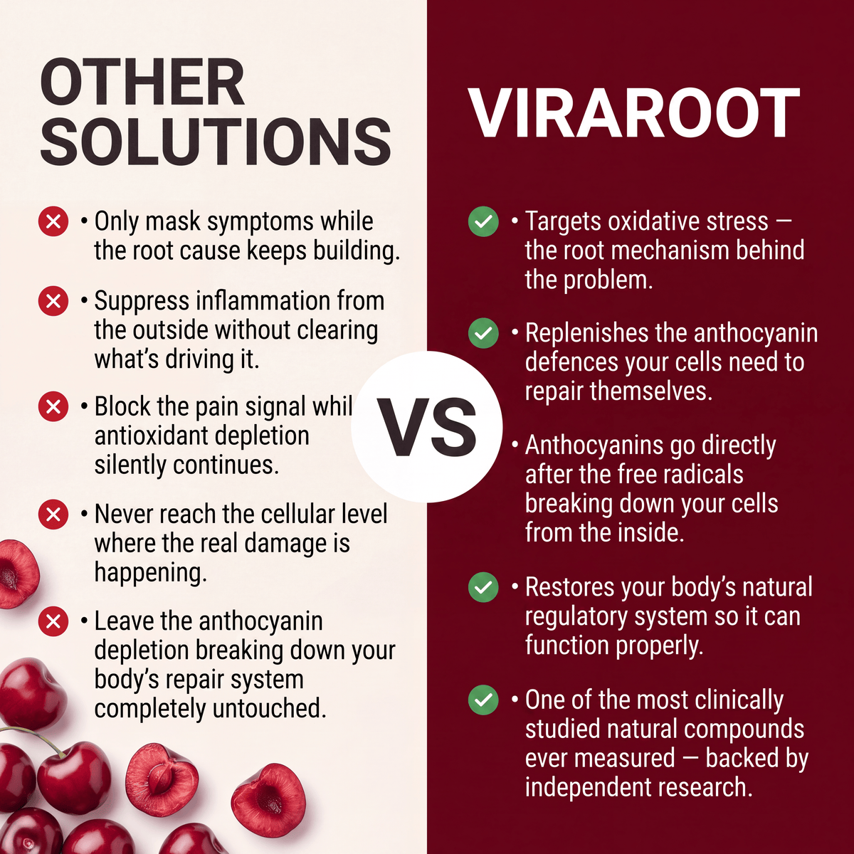 Tart Cherry Extract Capsules