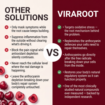 Tart Cherry Extract Capsules